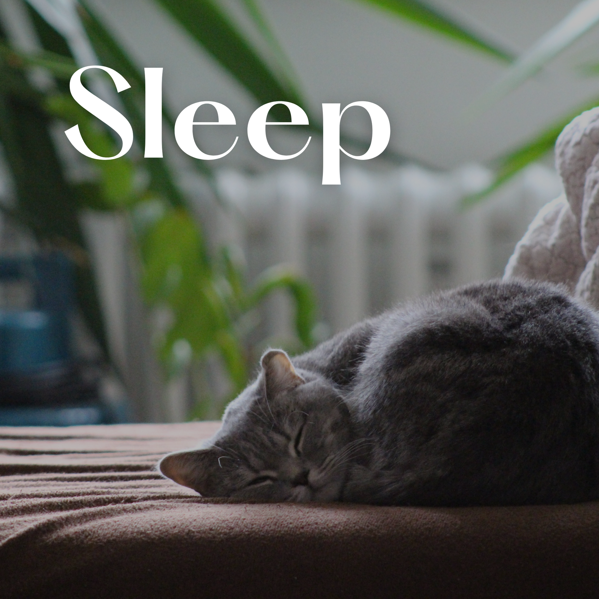ハーブテントで眠くなる理由とは？自然に眠れる体の変化