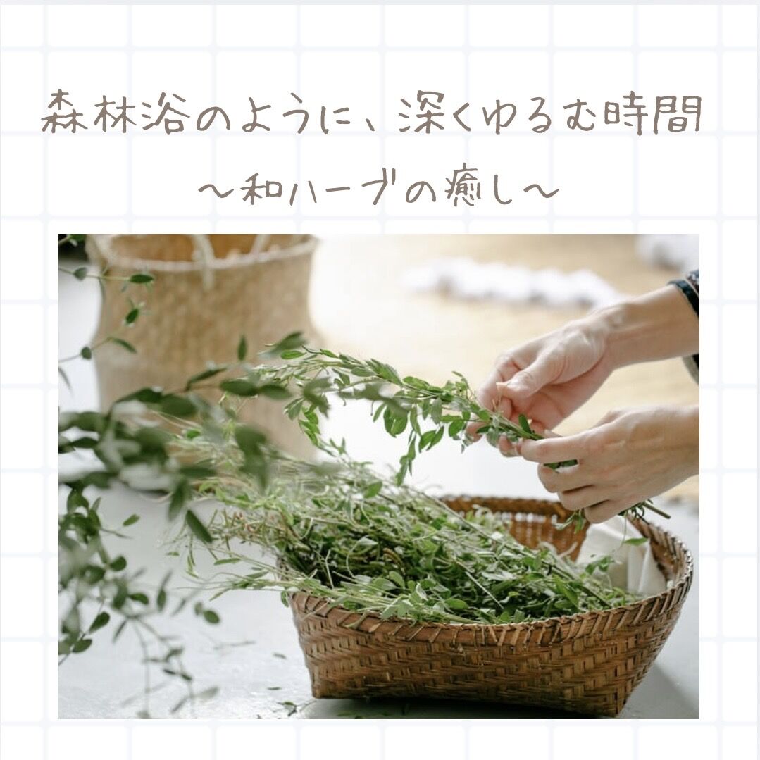 整える、そして深める。和ハーブと実生ゆずが導く、これからの温活ケア